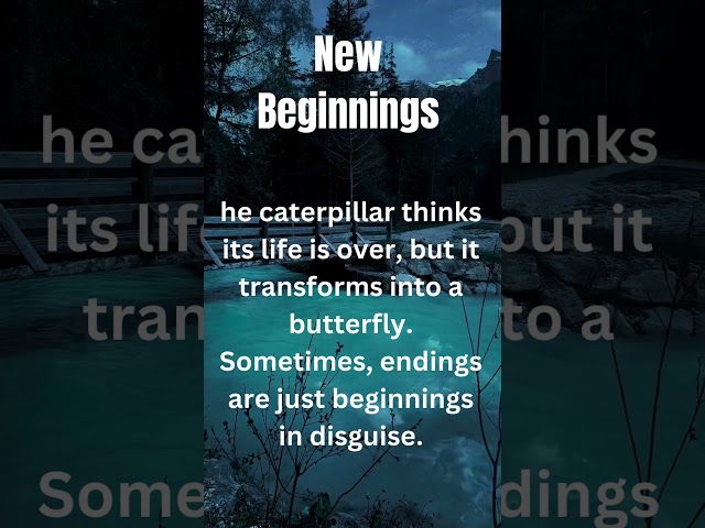 New Beginnings #empoweryourself #quotes #ytshorts #ytshort #motivationalquotes #facts #motivation