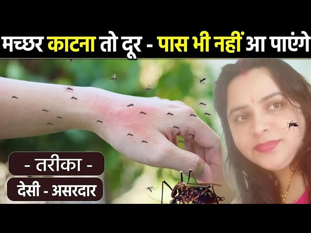 ना केमिकल ना कीटनाशक यह है मच्छर भगाने का 100% घरेलू नुस्खा | Get Rid of Mosquitos Homemade Remedy