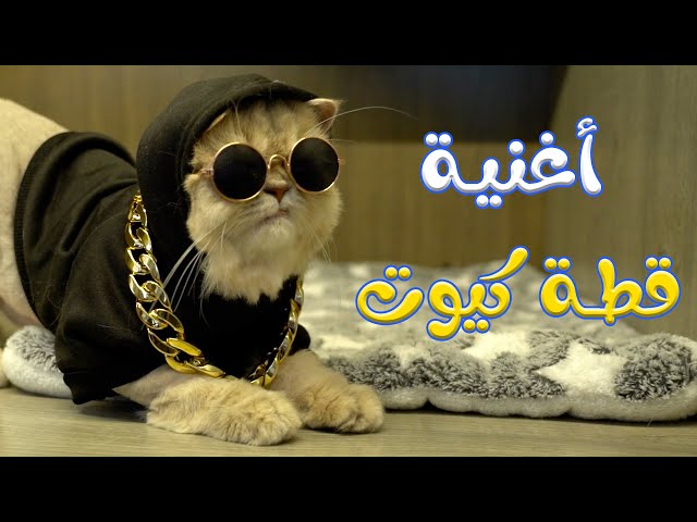 القطة قطة كيوت | قناة وناسة بيبي