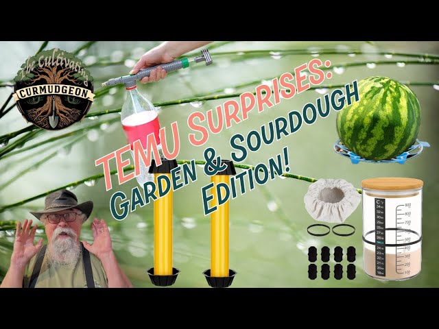 TEMU Surprises: Garden & Sourdough Edition!