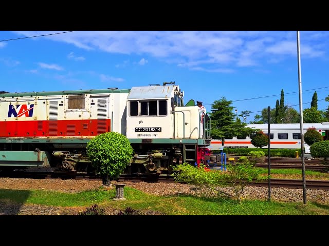 Kumpulan Kereta Api di Stasiun Purwokerto! [4K] | CC 201, CC 206