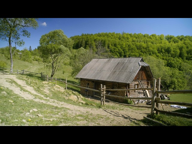 Thriving in Isolation: Family Survival and Happiness in a Remote Mountain Village