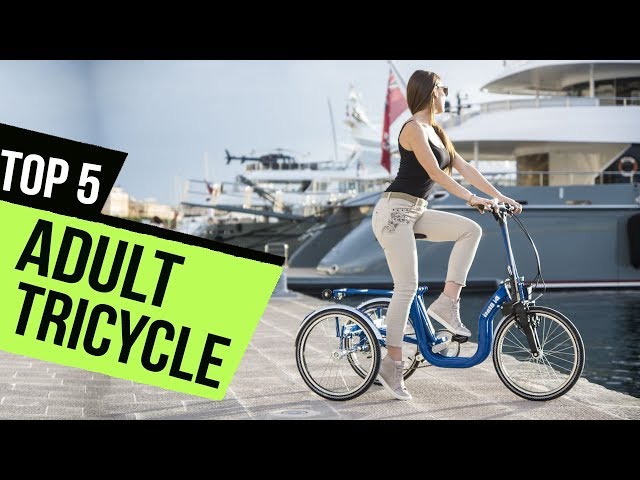 TOP 5: Adult Tricycle - Must Watch Before Buying