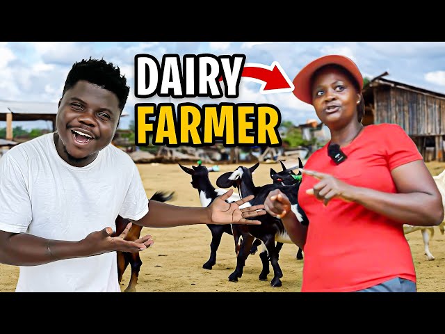 Uganda’s Biggest Goat Dairy Farmer Is From Kenya!