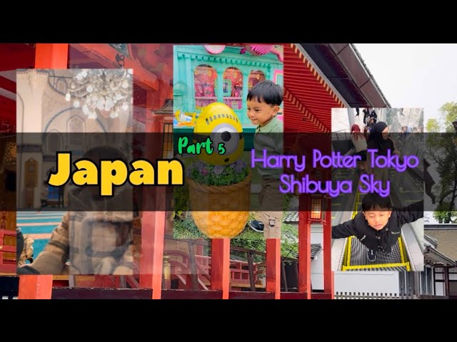 The Making of Harry Potter, Tokyo & Shibuya Sky (Holiday to Japan with Toddler - Part 5)