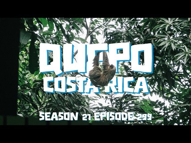 Finding Sloths in Manuel Antonio National Park, Quepo Costa Rica