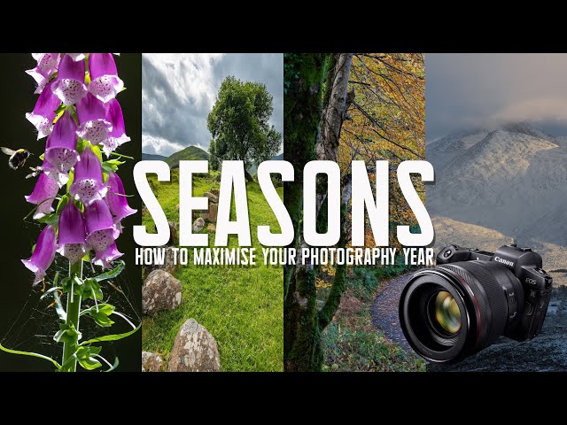 Why Every Season Makes Your Photography Better!