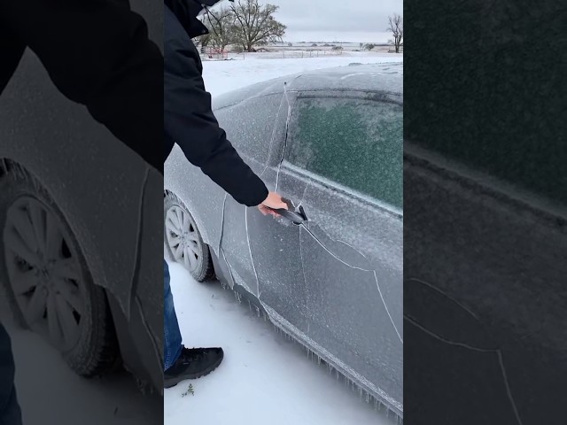 Life Car covered in snow #shorts #shortsfeed