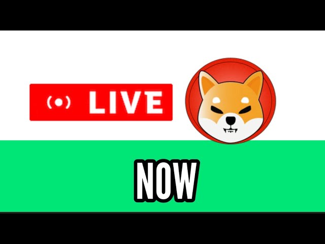 SHIBA INU AHORA en VIVO - LIVE NOW! PRECIO