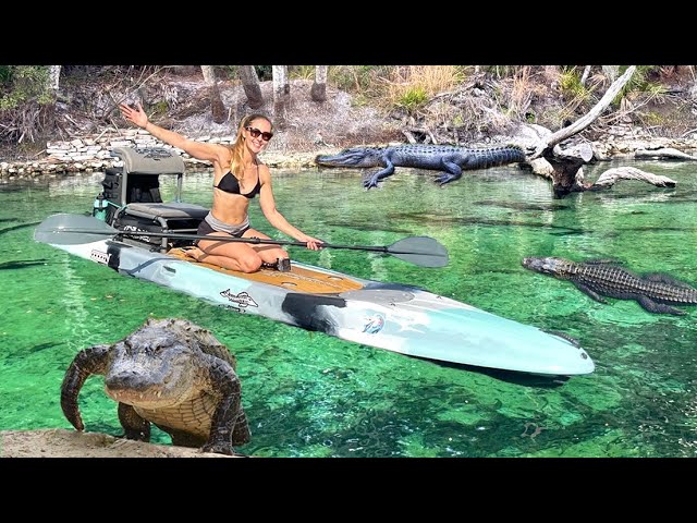 Kayaking Through Alligator Infested Waters! (Blue Springs State Park) Florida