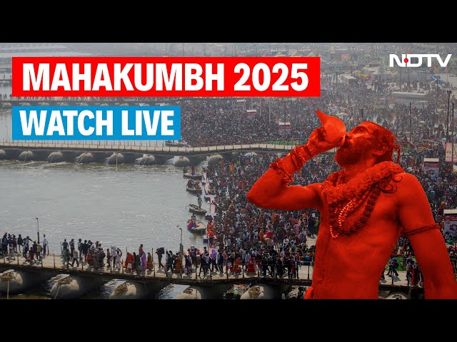 Mahakumbh LIVE | Mahakumbh 2025 | Mahakumbh Latest News | Mahakumbh Video