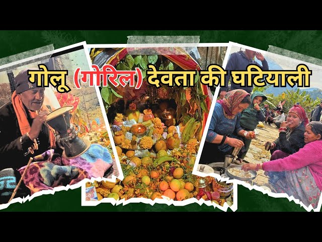 Golu devta ki ghatali || Goril pooja || Hamare pahadi Gaon  ki ghatali |