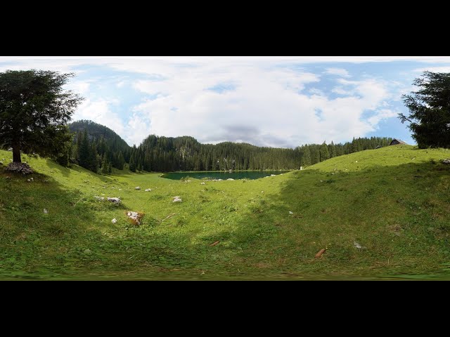 360° STOCK VIDEO 4K | Green Mountain Lake Nestled In Alpine Pasture | Atmosphaeres