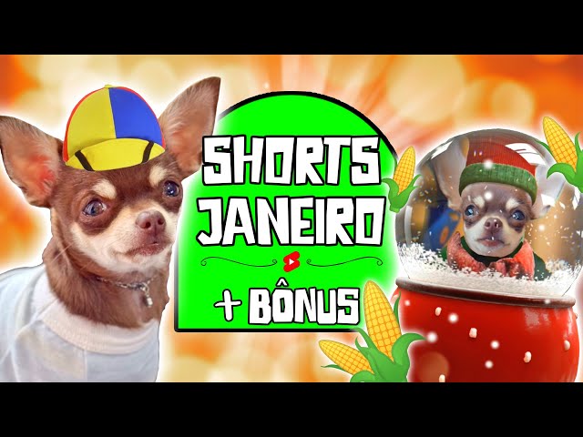 OS MELHORES SHORTS DO MÊS DE JANEIRO 2025 - COMPILADO PEQUENOS PRÍNCIPES