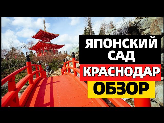 Японский сад в парке Галицкого  в Краснодаре. Обзор Японского сада  Краснодар