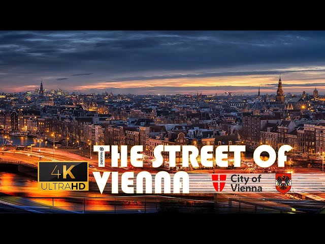 The Street of Vienna View = Insta360 X3 Shot 4K ULTRAL HD