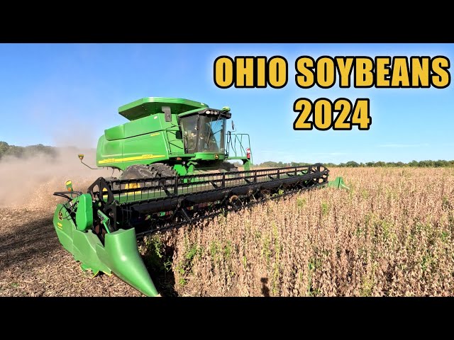 (Not So) Spectacular Soybean Harvest 2024