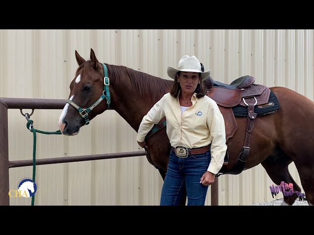 Breast Collar and Back Cinch Adjustment with Julie Goodnight