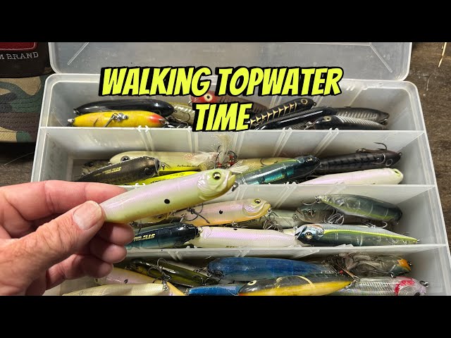 Techniques And Strategies For Fishing Walking Topwater’s In May…