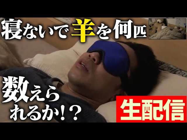 【緊急生配信】寝ないで、羊を何匹数えられるか！？【チャレンジ企画】