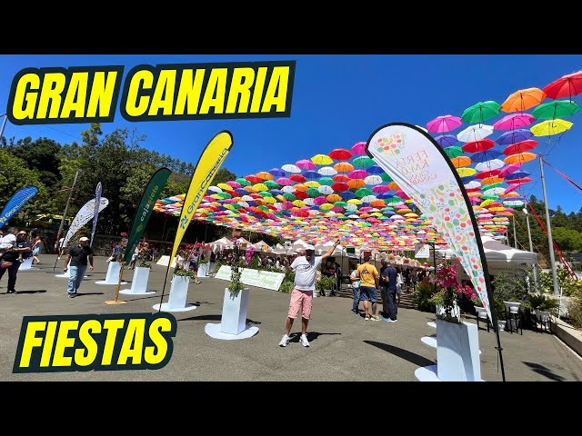 💃🏻What to SEE AND DO in Gran Canaria. Fontanales, Moya. Program of 🎈