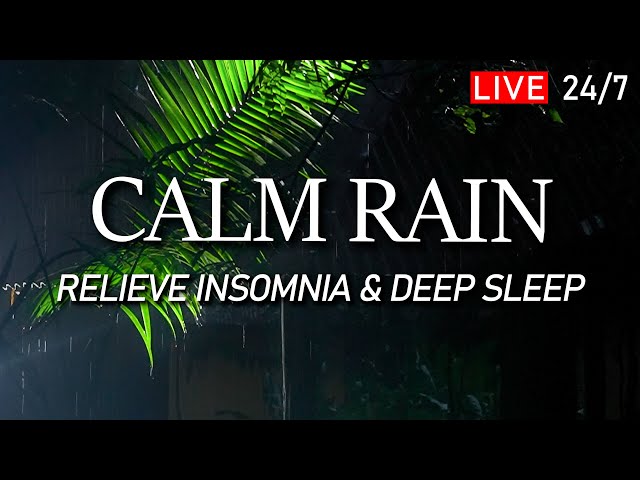 🔴 Fall Into a Deep Sleep with Calm Rain Sound for Sleeping. Relieve Insomnia, Deep Sleep, Relax