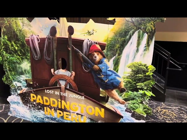 Paddington Bear PERU Movie Display