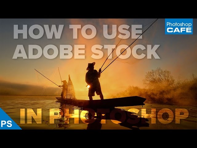 use ADOBE STOCK like a boss | QUICKLY FIND and download images in PHOTOSHOP