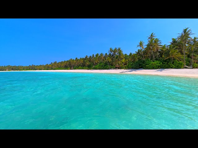 Ocean 4K (12 HOURS) 🏝 Pacific Island Paradise in Maldives