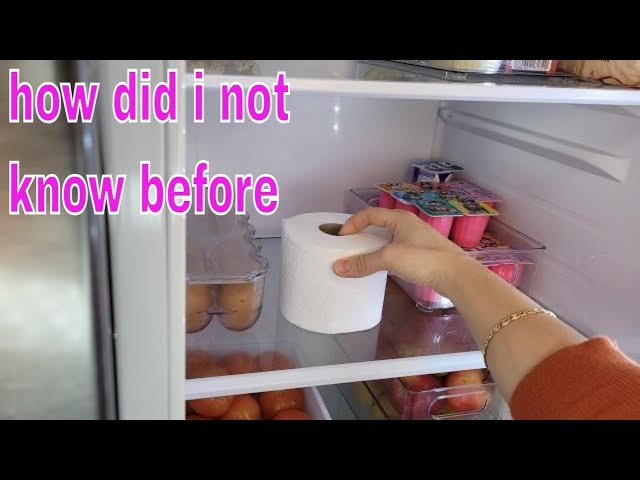 Put a Roll of Toilet paper in your Fridge  and you will be surprised what happens !