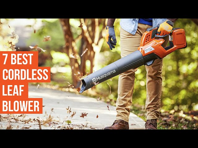 7 Best Cordless Leaf Blowers