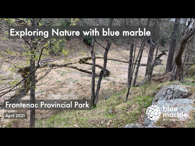 Exploring nature with blue marble | Frontenac Provincial Park