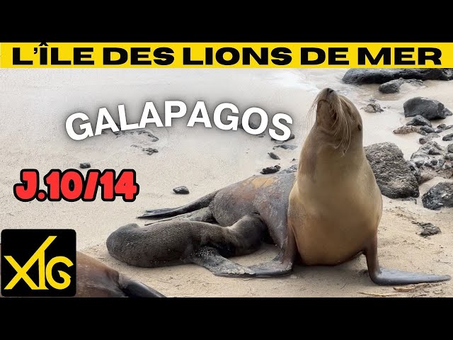 636 d10/14 Share our 14 days in the Galapagos: arrival on San Cristobal Island