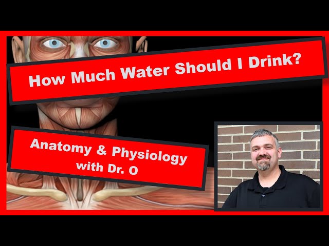 How Much Water Should I Drink?  (Anatomy and Physiology)