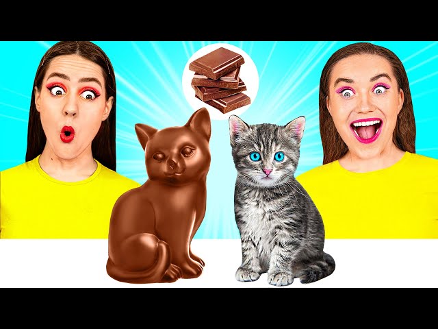 Real Food vs Chocolate Food Challenge #9 by DaRaDa Challenge