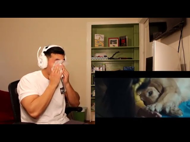 Marshmello ft. Bastille - Happier (Official Music Video) - REACTION!!