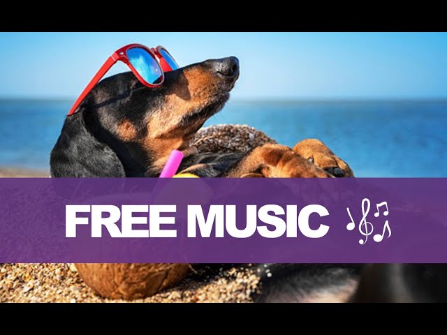 Ready for Summer - Roa · [Free Copyright-safe Music]