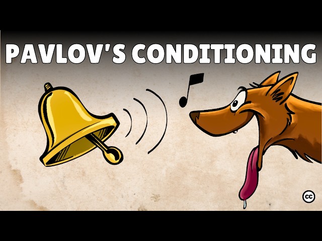 Pavlov’s Classical Conditioning