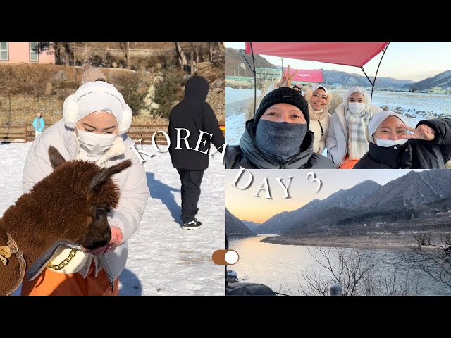 Korea Vlog Day 3 🇰🇷 | Alpaca world, Nami Island, Rail Park, Gangchon Rail Bike, Halal Food