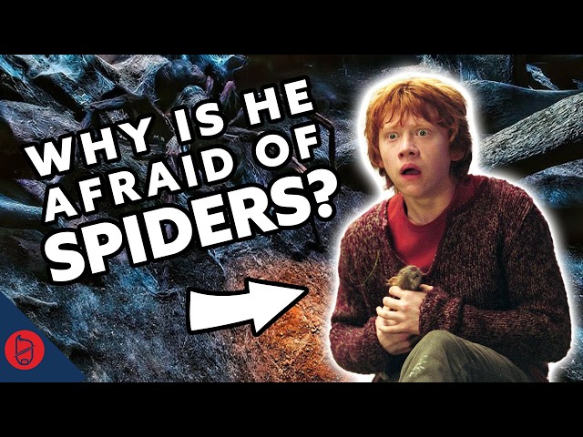 Why Does Ron Weasley GOOGLE AUTOFILL | Harry Potter Film Theory