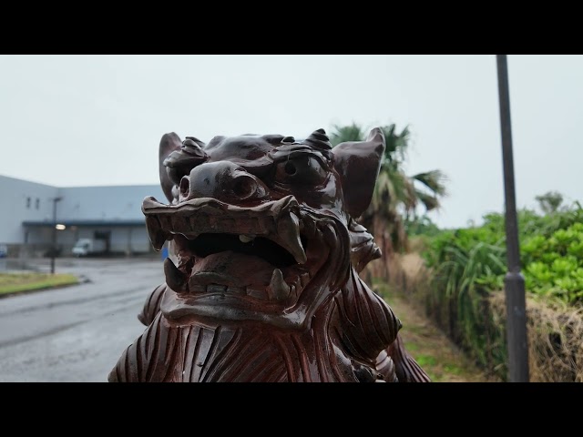 A Rainy Day on Ishigaki Island: Daily Life in Tropical Japan 🌧️🌿