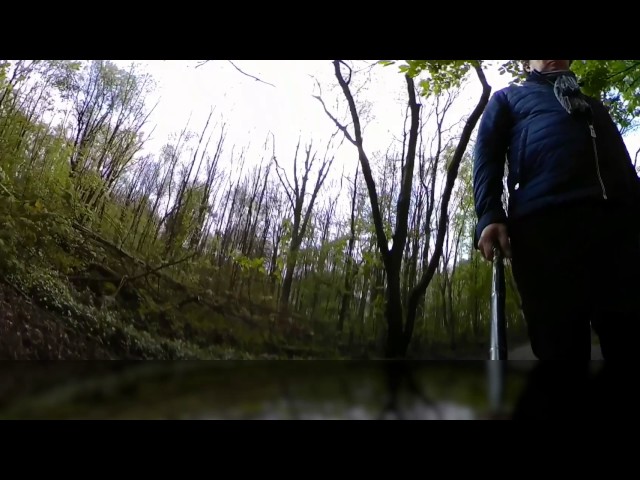 360fly 4k Spring time in Amsterdam forrest.