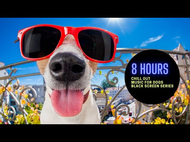 Dog music for anxious dogs when left alone.  calming and soothing sounds 8 hours non stop