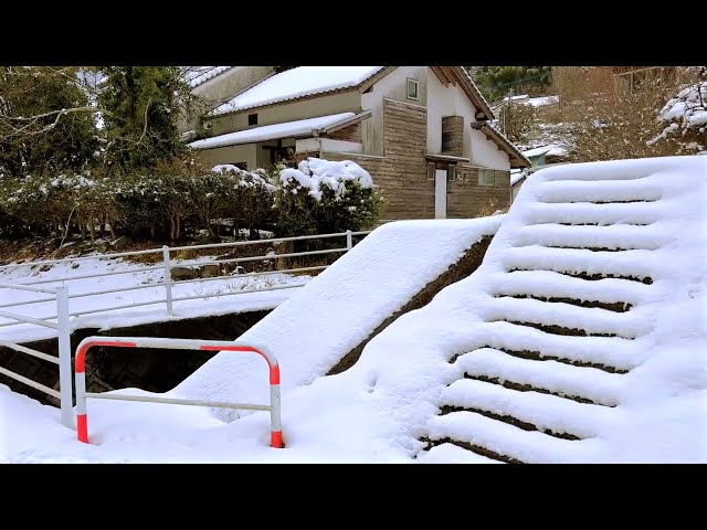 日本の山村の美しい雪道歩き（水俣市）Walking Around  beautiful snowy roads in a mountain village（Minamata, Japan）