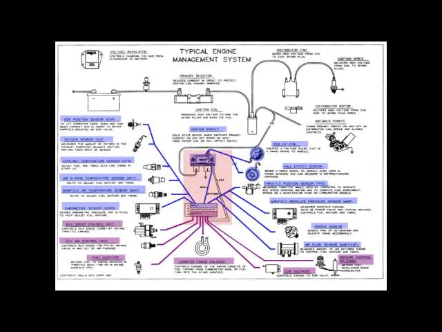 Instructor Series:  Inputs, outputs, & PCM