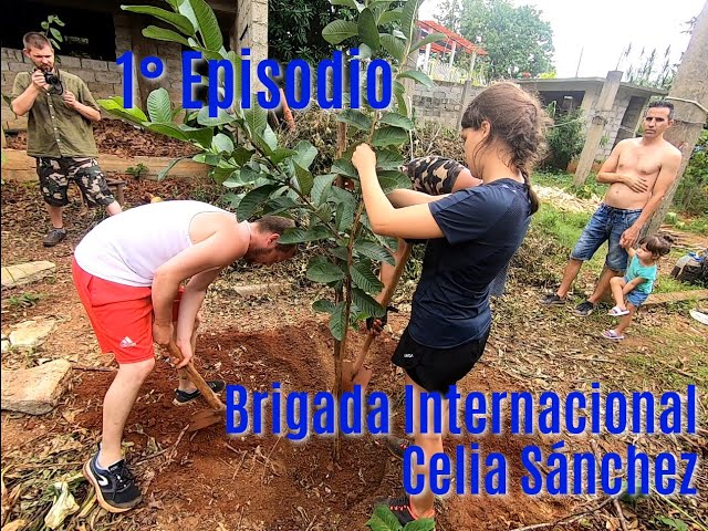 ¡Si se corta uno, se plantan dos! - 1° Episodio de la Brigada Celia Sánchez