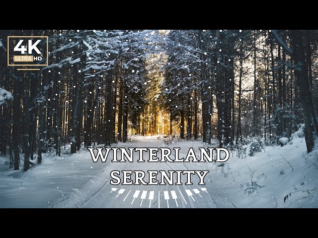 Winterland Serenity | Relaxing Snowfall with Gentle Piano & Nature Sounds