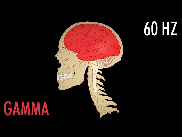 10 min Gamma Binaural Beat Session (60 Hz)