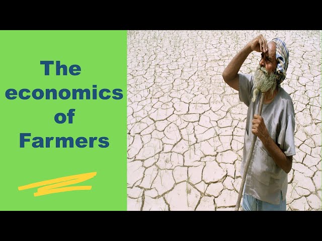 The mistaken economics of Indian farmers