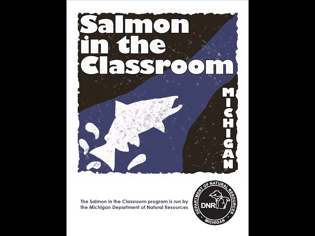 Westwood Salmon in the Classroom